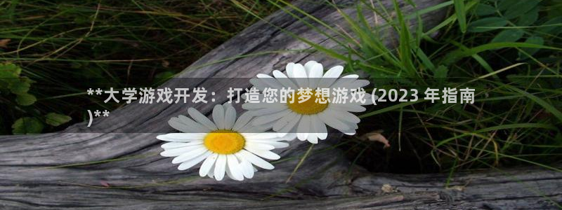 沐鸣平台代理注册多少钱：**大学游戏开发