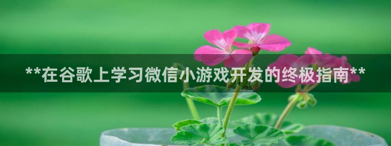 沐鸣1平台：**在谷歌上学习微信小游戏开