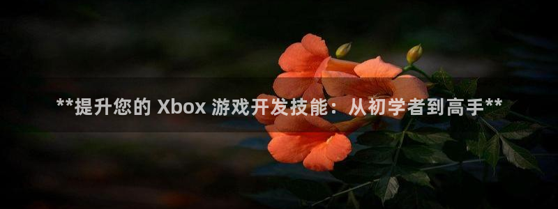 沐鸣科技有哪些产品啊：**提升您的 Xb