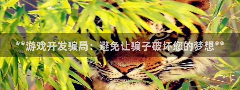 沐鸣平台代理注册多少钱：**游戏开发骗局