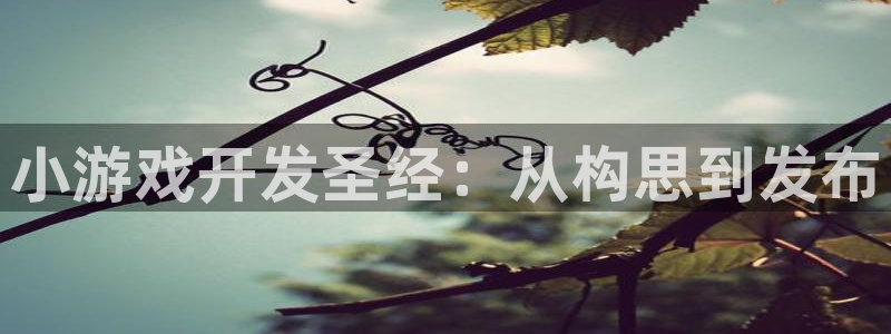 沐鸣娱乐怎么赚钱：小游戏开发圣经：从构思