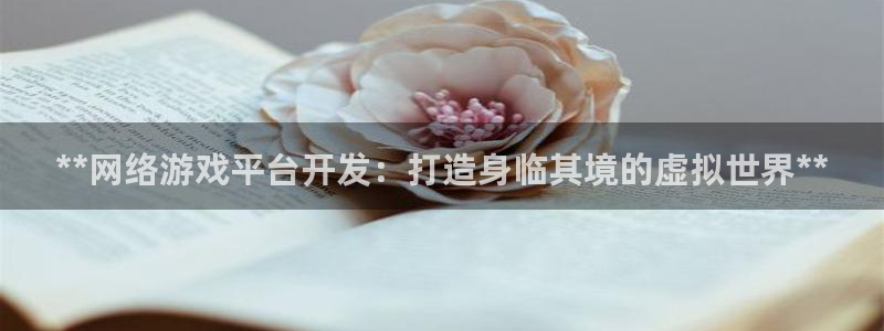 沐鸣科技和沐瞳科技哪个好：**网络游戏平