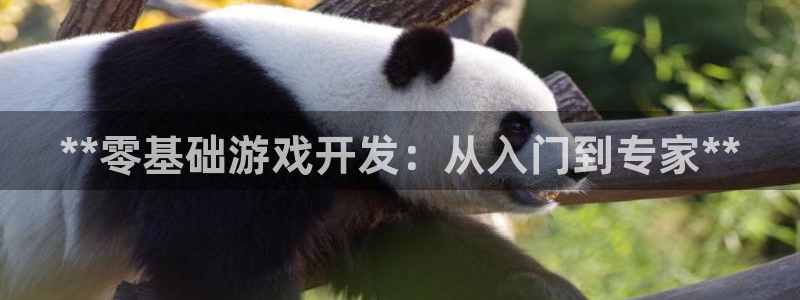 沐鸣科技和沐瞳科技哪个好：**零基础游戏