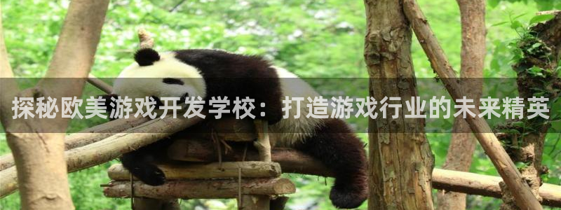 沐鸣娱乐平台登录入口下载安装：探秘欧美游