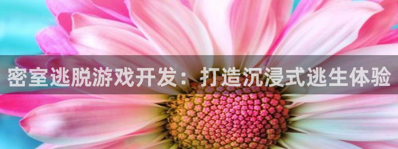 沐鸣平台注册资金多少亿：密室逃脱游戏开发