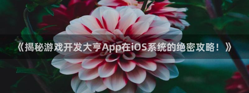 沐鸣科技有限公司地址：《揭秘游戏开发大亨
