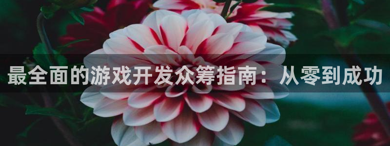 沐鸣登陆入口：最全面的游戏开发众筹指南：