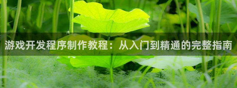 沐鸣娱乐代理在线注册链接：游戏开发程序制