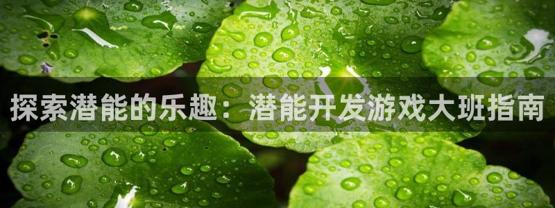 沐鸣网址：探索潜能的乐趣：潜能开发游戏大