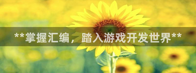 沐鸣娱乐平台反点