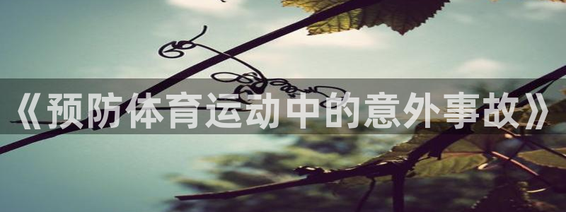 bsports官网 必一运动：《预防体育运动中的意外事故》