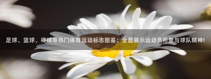 必一运动体育官网：足球、篮球、棒球等热门体育运动标志图鉴：全面展示运动员形象与球队精神!