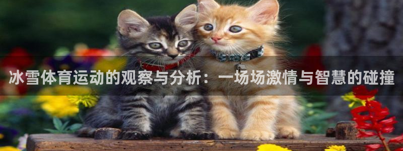 必一运动app：冰雪体育运动的观察与分析：一场场激情与智慧的碰撞