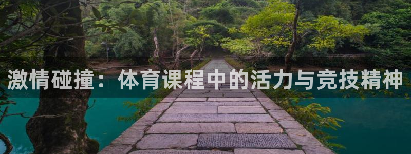 bsport必一运动：激情碰撞：体育课程中的活力与竞技精神