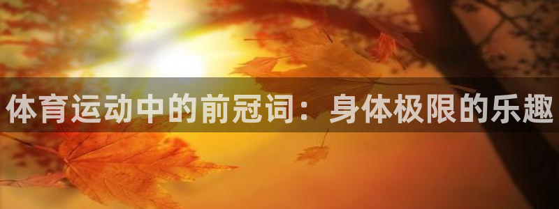 必一运动体育：体育运动中的前冠词：身体极限的乐趣