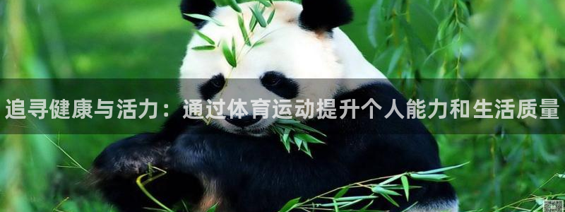 必一运动app：追寻健康与活力：通过体育运动提升个人能力和生活质量