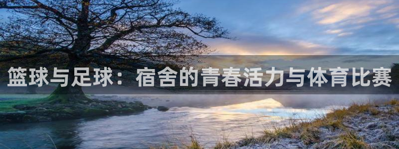 必一运动：篮球与足球：宿舍的青春活力与体育比赛