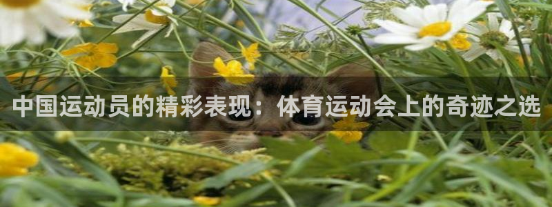 必一运动bsport体育：中国运动员的精彩表现：体育运动会上的奇迹之选