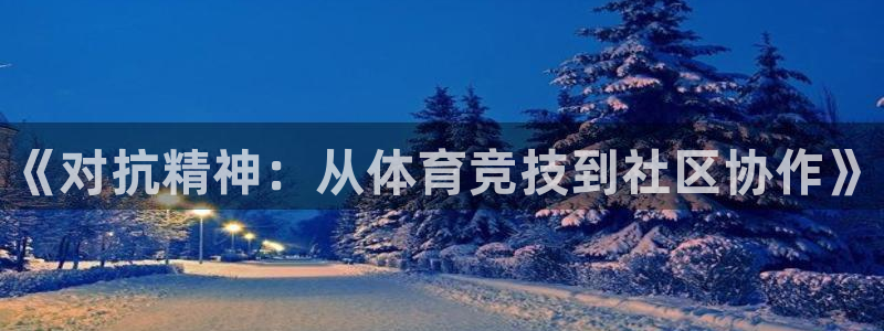 必一运动体育官网入口