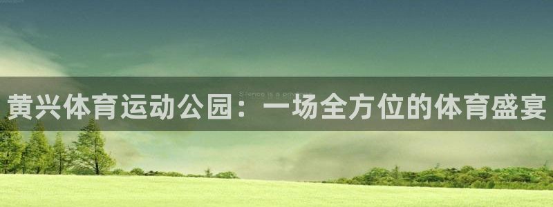 bsport必一运动：黄兴体育运动公园：一场全方位的体育盛宴