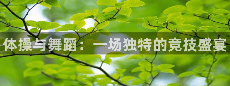 必一运动体育官网：体操与舞蹈：一场独特的竞技盛宴