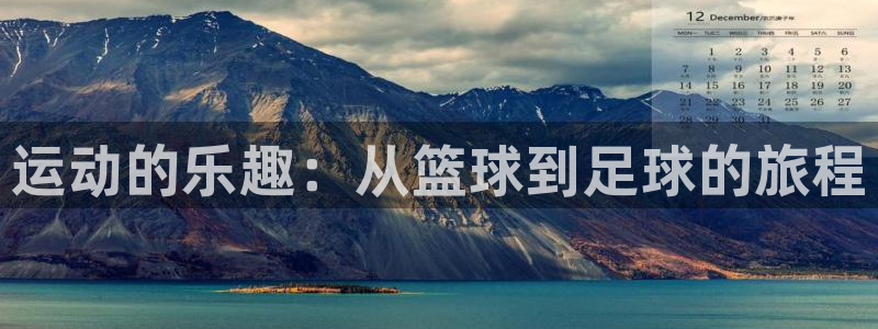 必一运动官网：运动的乐趣：从篮球到足球的旅程