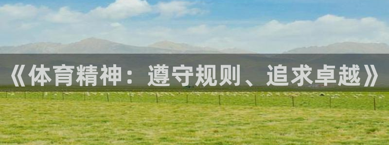 bsports必一运动：《体育精神：遵守规则、追求卓越》