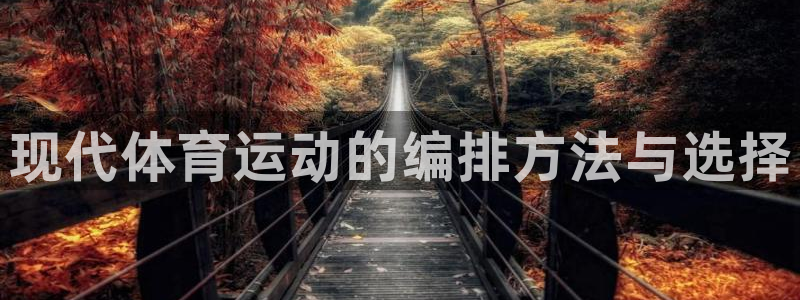 必一运动官网入口：现代体育运动的编排方法与选择