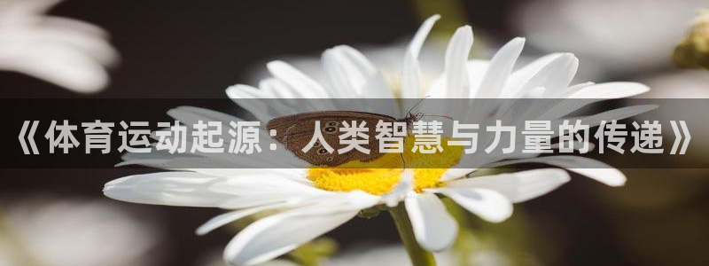 b体育必一运动官网：《体育运动起源：人类智慧与力量的传递》