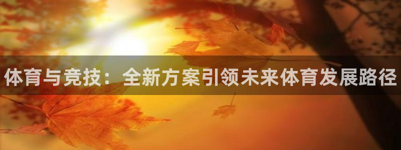 bsports官网 必一运动：体育与竞技：全新方案引领未来体育发展路径