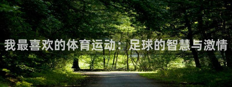 必一运动：我最喜欢的体育运动：足球的智慧与激情