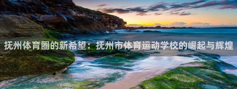 bsports官网 必一运动：抚州体育圈的新希望：抚州市体育运动学校的崛起与辉煌