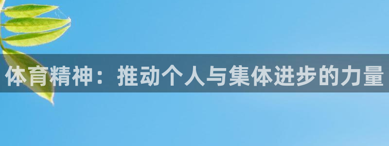 b体育必一运动官网